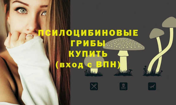дурь Нязепетровск