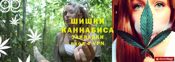 мдма Новодвинск