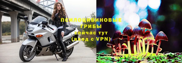 мдма Новодвинск