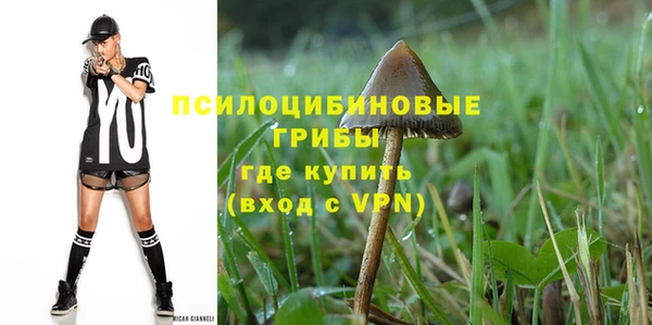 мдма Новодвинск
