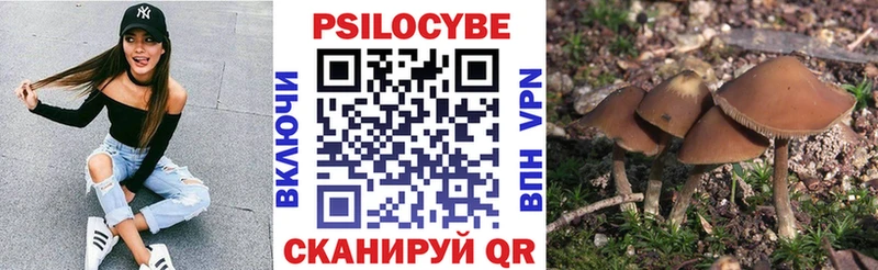 это официальный сайт Ужур Галлюциногенные грибы Psilocybe